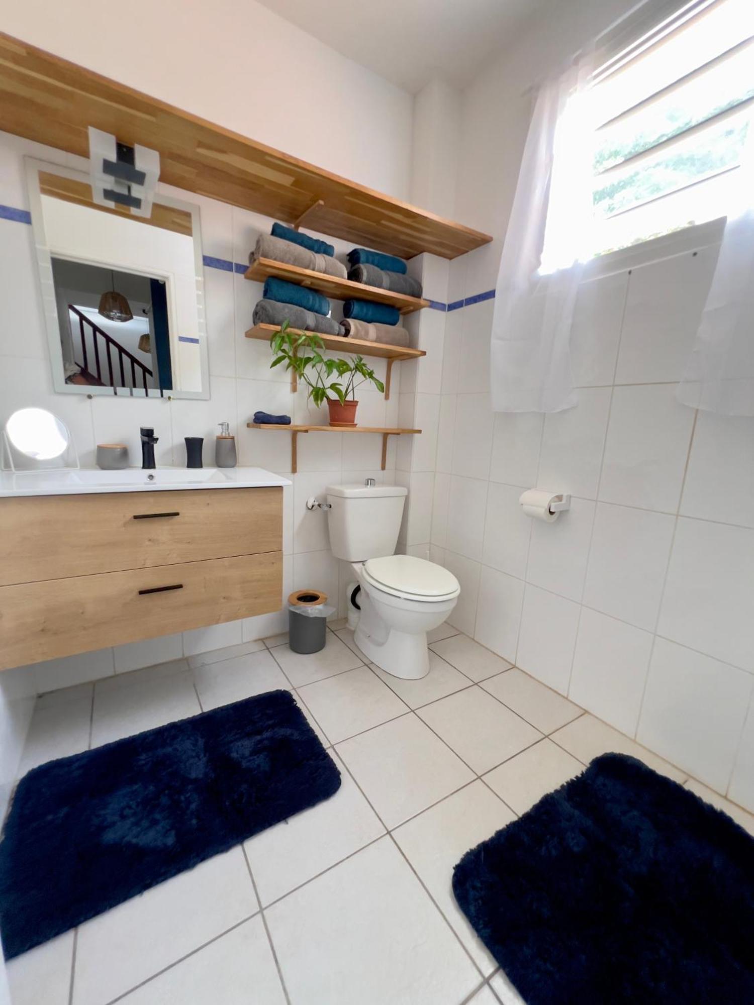 Villa Iguana, Duplex Paisible, Vue Magnifique Mer Et Rocher Du Diamant, Piscine 圣吕斯 外观 照片